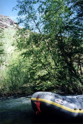 Whitewater Rafting on Goodwin Canyon